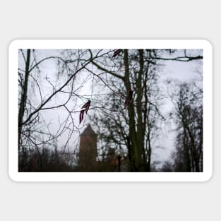 Latvia's flag ribbons hanging on tree Sticker